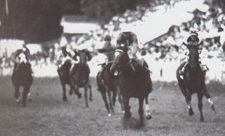 Premio Gobierno Vasco